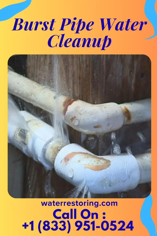 Burst Pipe Water Cleanup in East Dublin, GA
