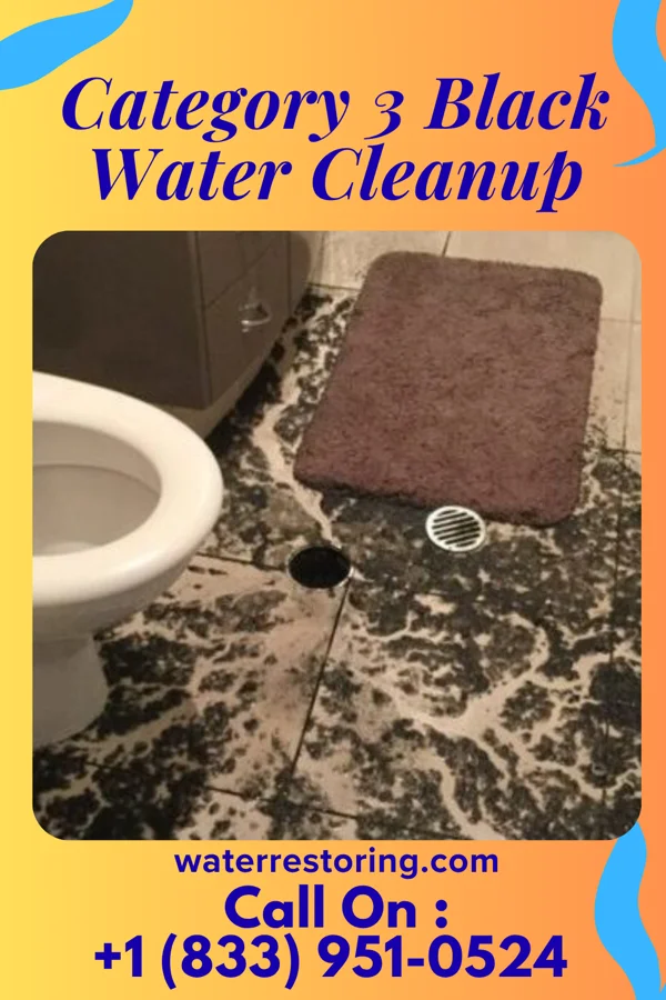 Category 3 Black Water Cleanup in East Dublin, GA